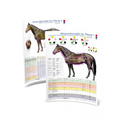 Akupunkturpunkte Pferd Tafel