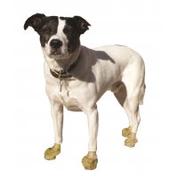 PAWZ Dog Boots Hundeschuhe - CAMO