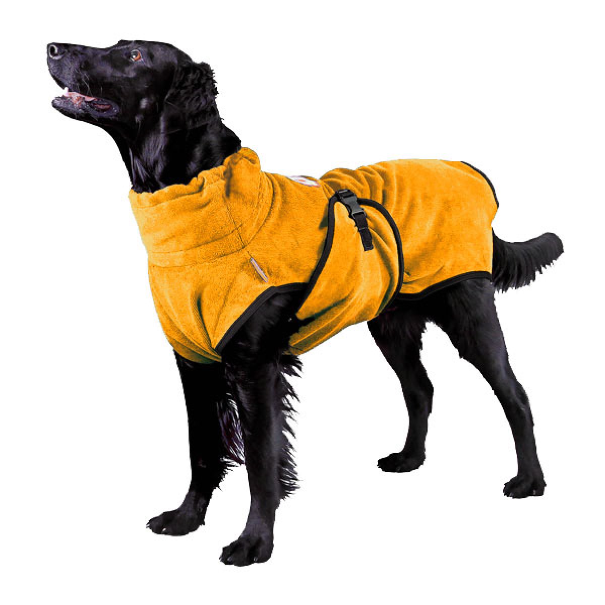 orthopädische matratze hund Viscoelastische Hundematratze, wasserfester Bezug main image 1