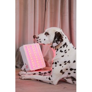 Photonic Lights AURA� | Lichttherapie f�r Tiere