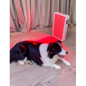 Photonic Lights LUMEN� | Profi-Lichttherapie f�r Tiere