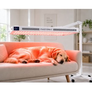 Photonic Lights SPECTRA� | PBM-Lichttherapie f�r Tiere