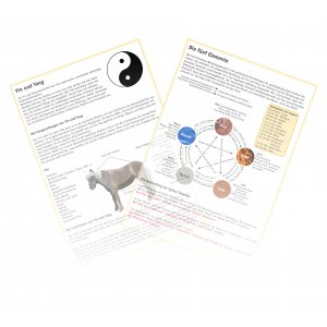 Yin und Yang - Die fnf Elemente