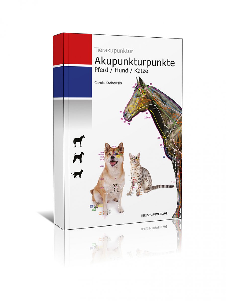 Akupunkturpunkte Pferd Hund Und Katze Tierakupunkturpunkte