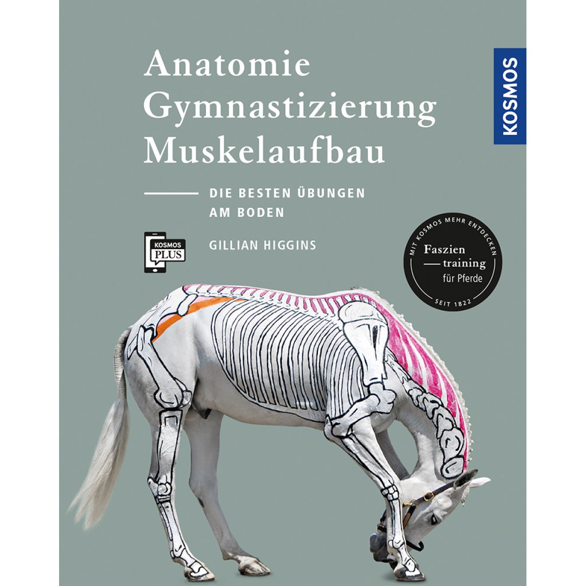 Anatomie Pferd Buch