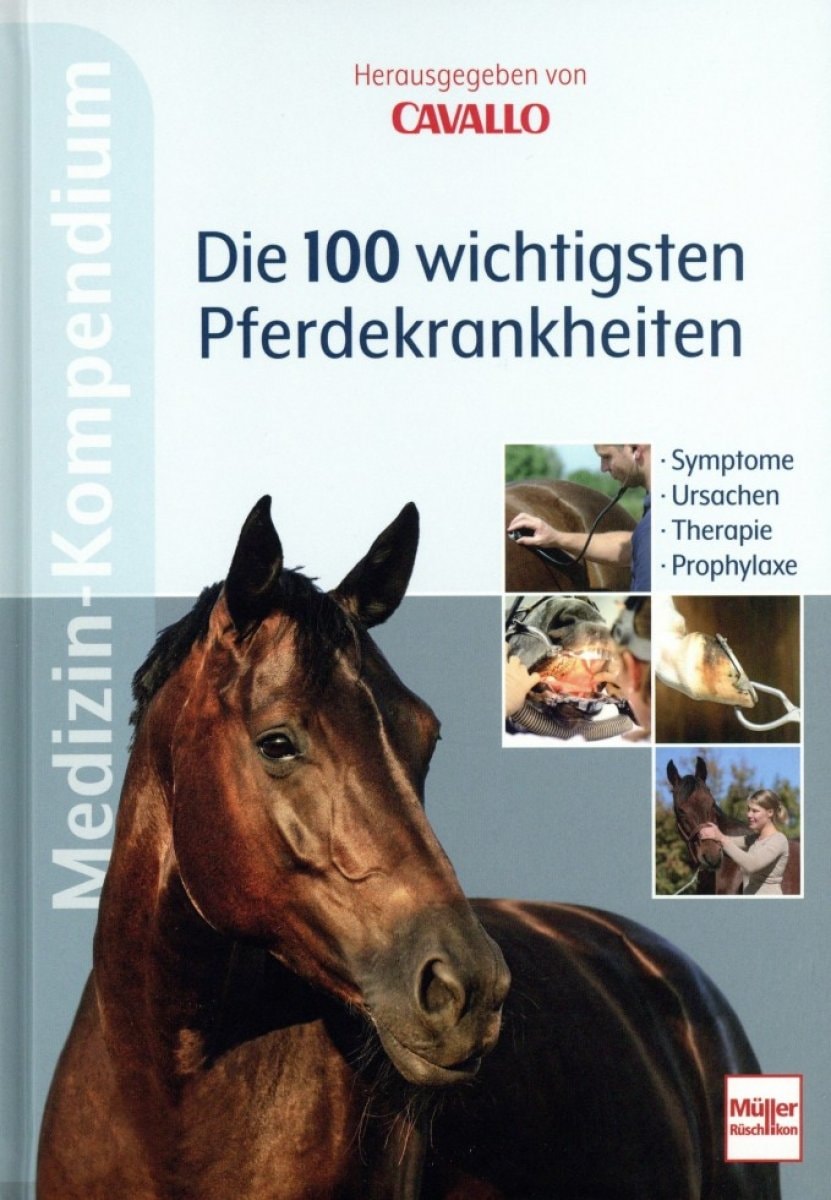Die 100 wichtigsten Pferdekrankheiten - Kompendium
