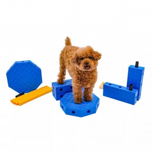 FitPAWS® FitKinect Core Trainer – Balance & Koordination Hund FitPAWS® FitKinect Core Trainer