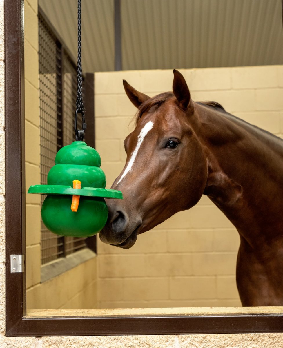 KONG Equine Classic Set KONG für Pferde