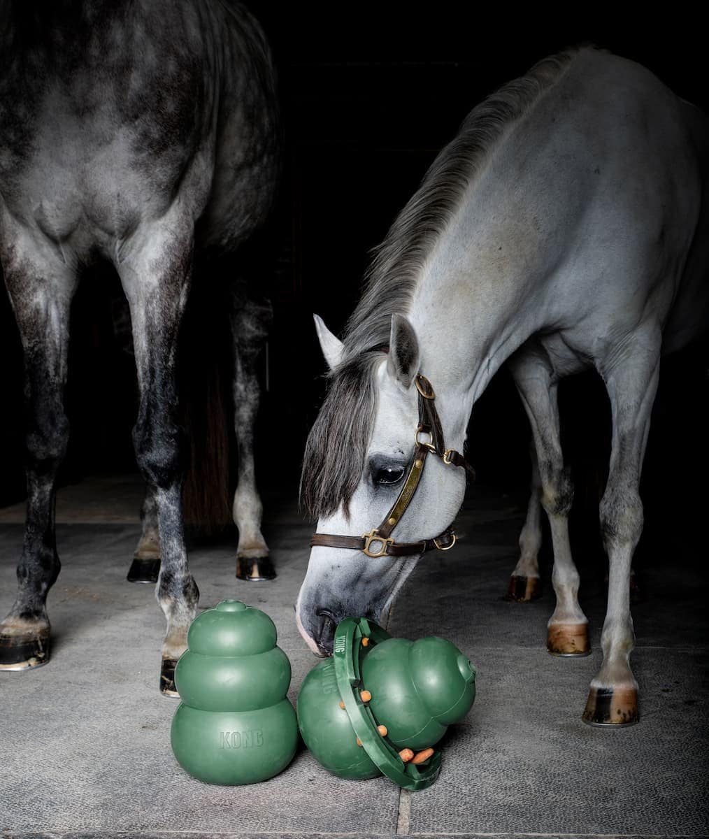 KONG Equine Classic Set KONG für Pferde