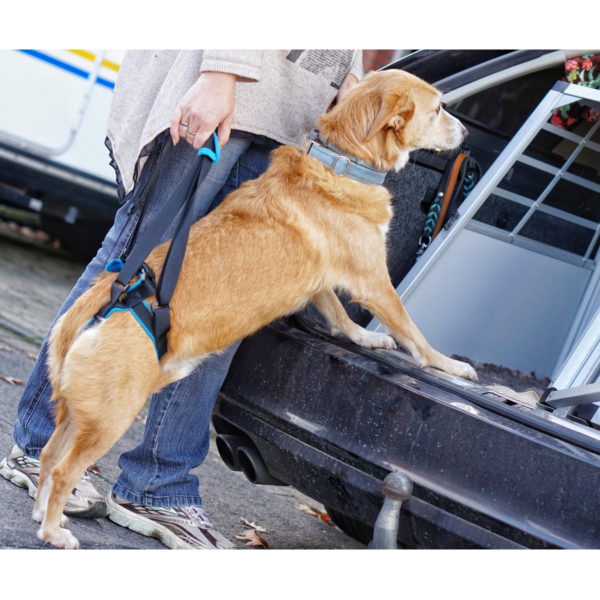 Color : Red, Size : - YHJJ Tragbare Hundegeschirre Wiederverwendbare Hunde Hebegeschirr mit Griff Einstellbare Lift Harness Rehabilitation Assist Hebeschlinge leicht zu reinigen 10.5