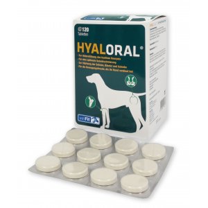 HyalOraL fr Hunde - Hyaluronsure fr gesunde Gelenke