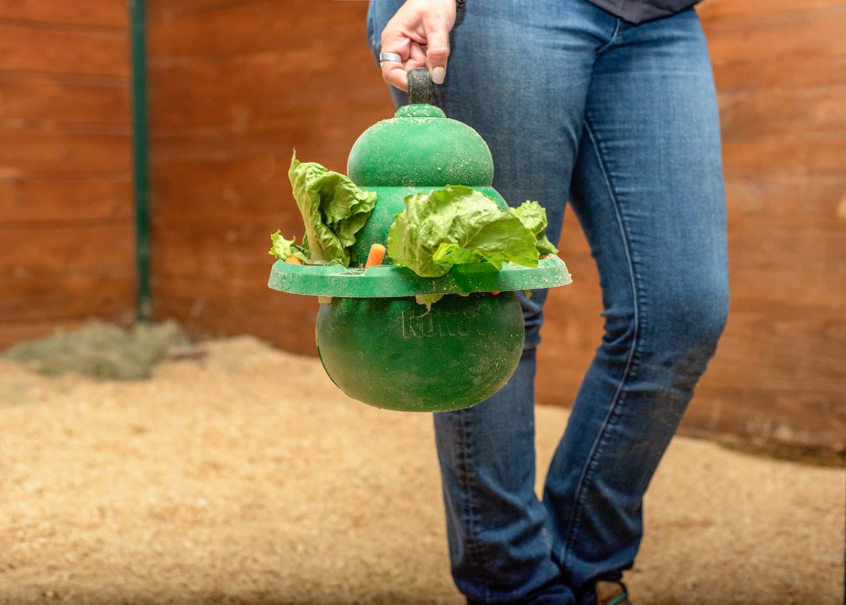 KONG Equine Classic Set KONG für Pferde