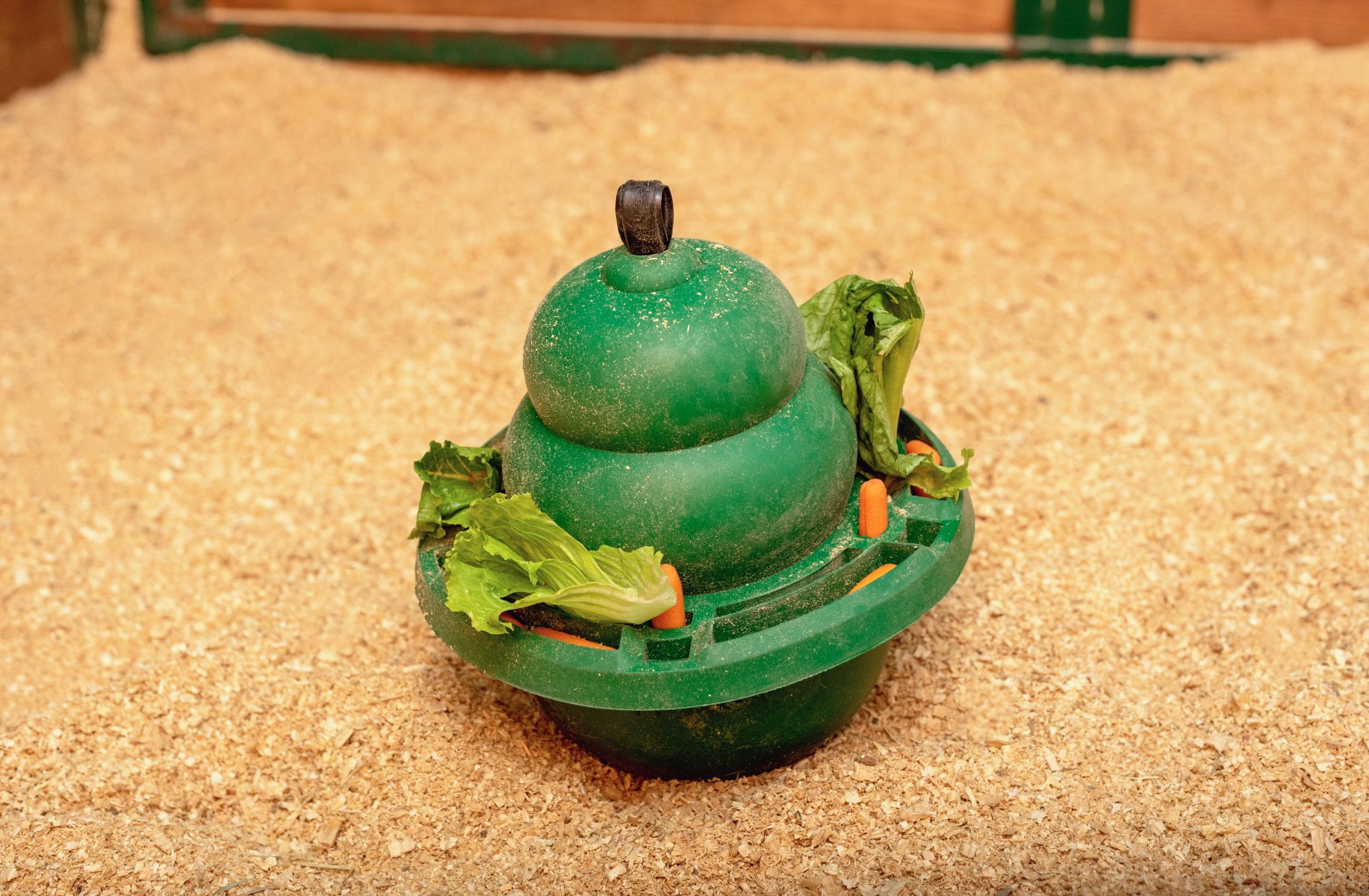 KONG Equine Classic Set KONG für Pferde