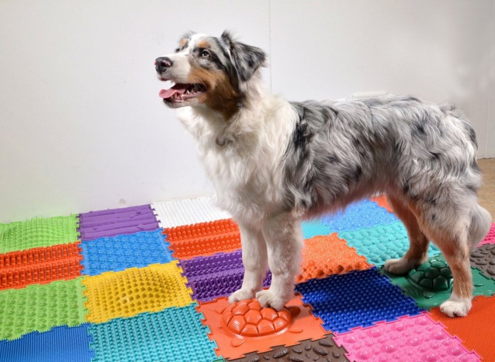 ORTO Nature Massage Puzzle Matte - Sensorische Bodenmatte Für Kinder