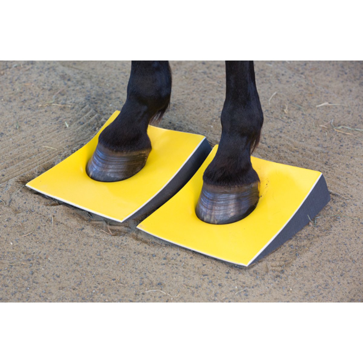 OFFICIAL SURE FOOT PADS FIRM SLANT