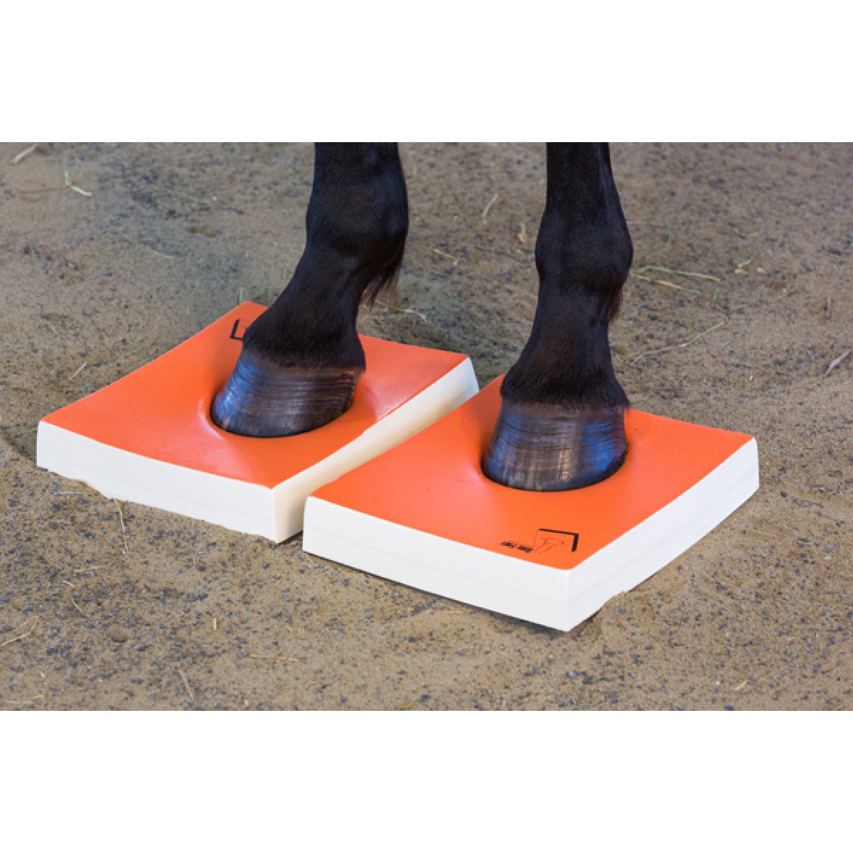 OFFICIAL SURE FOOT PADS HARD