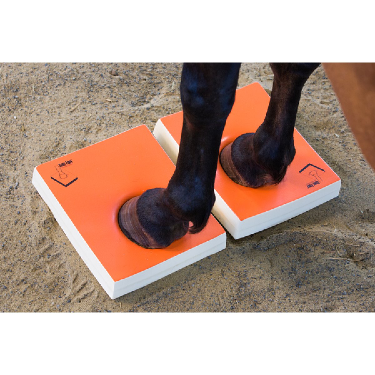 OFFICIAL SURE FOOT PADS HARD