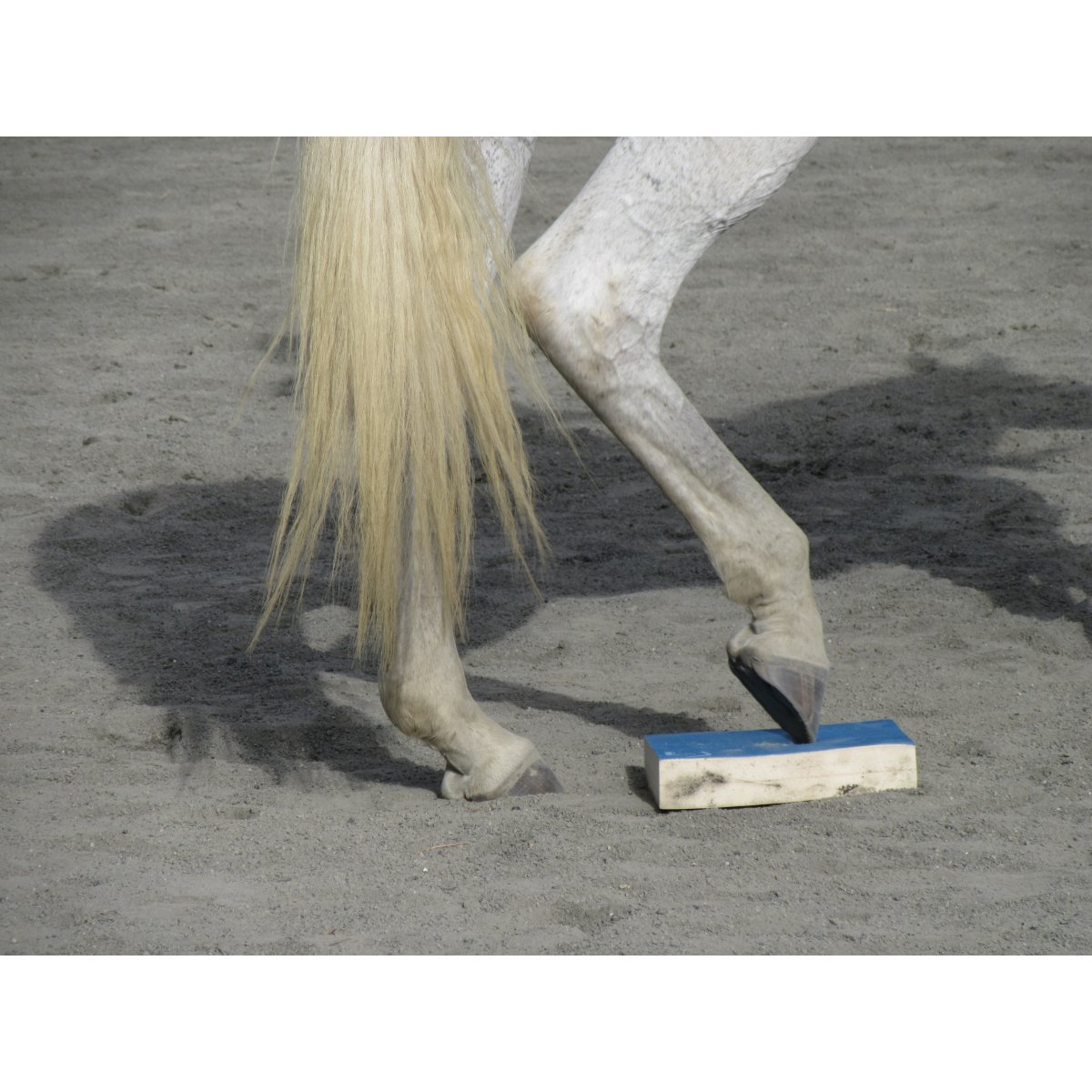 OFFICIAL SURE FOOT PADS SOFT