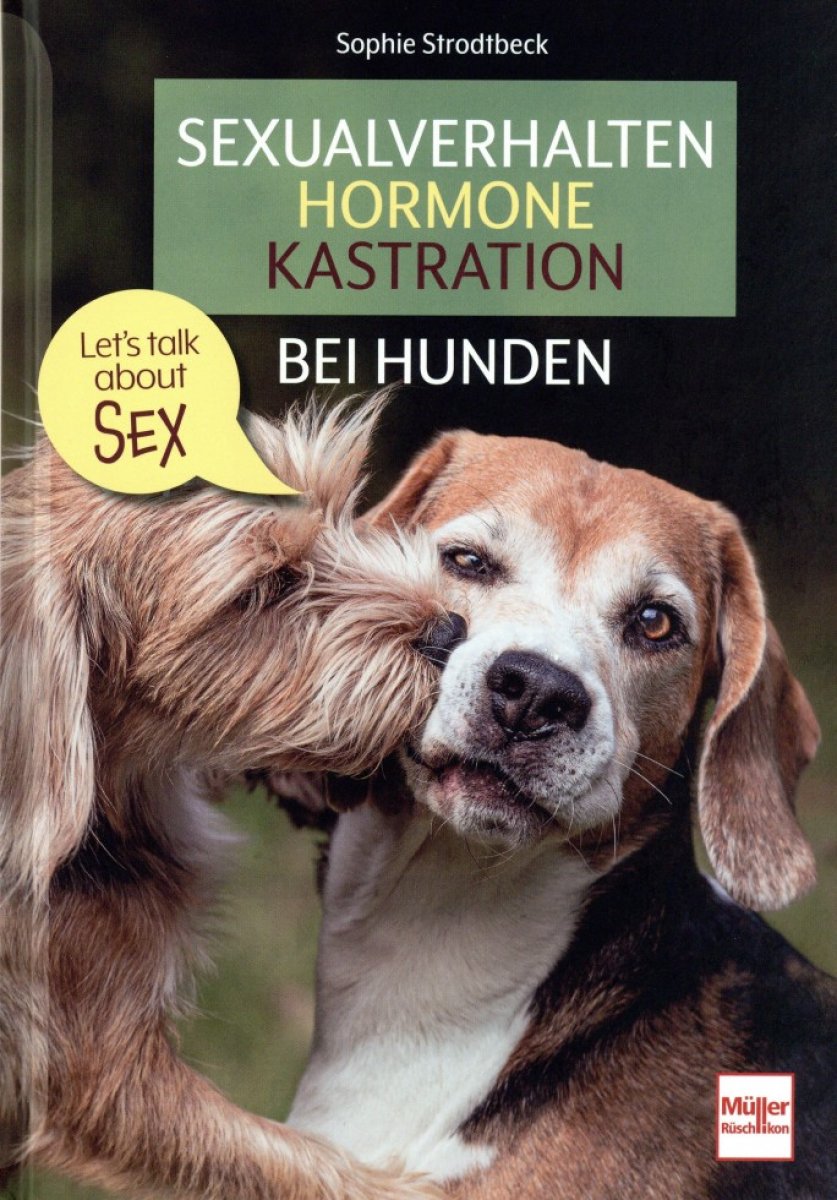 Sexualverhalten bei Hunden - Hormone und Kastration