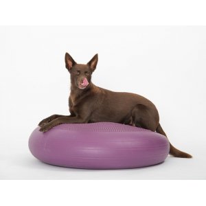 TOGU Original Dynair Premium Cuscino Palla Ergonomico Per Ufficio - Seduta Attiva E Massaggio Schiena