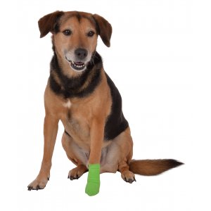 Vetlando Anti-Lick - Antileck-Bandage fr Hunde 