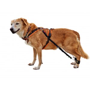 biko Hundeexpander ADVANCED - ohne Manschetten