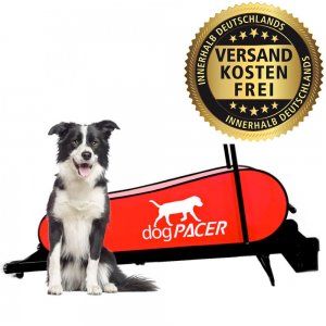dogPACER LF 3.1 Hundelaufband fr Hunde bis 80kg